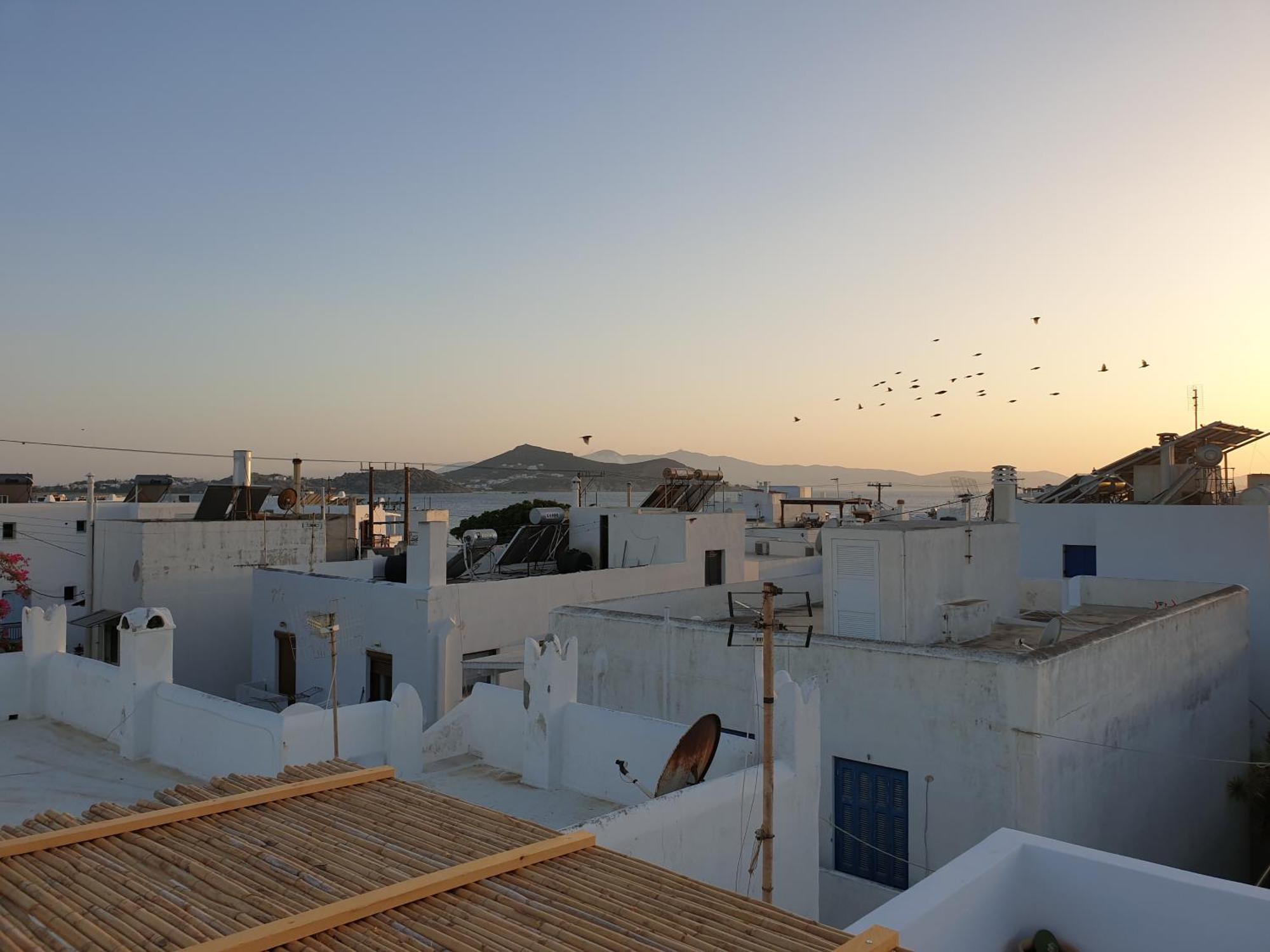 My Island Homes And Residence Naxos City Cameră foto